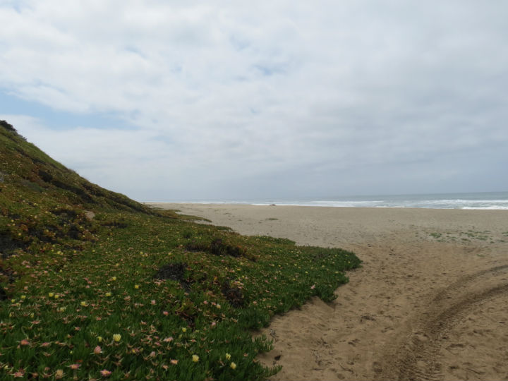 Santa Cruz Beach